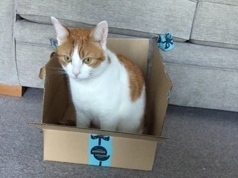 |