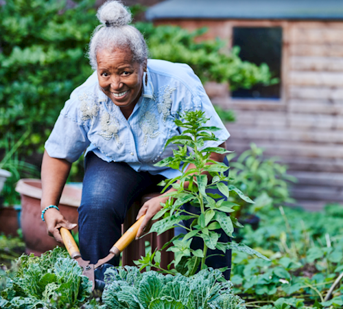 Importance of a positive approach to ageing (self-fulfilling prophecy explained)